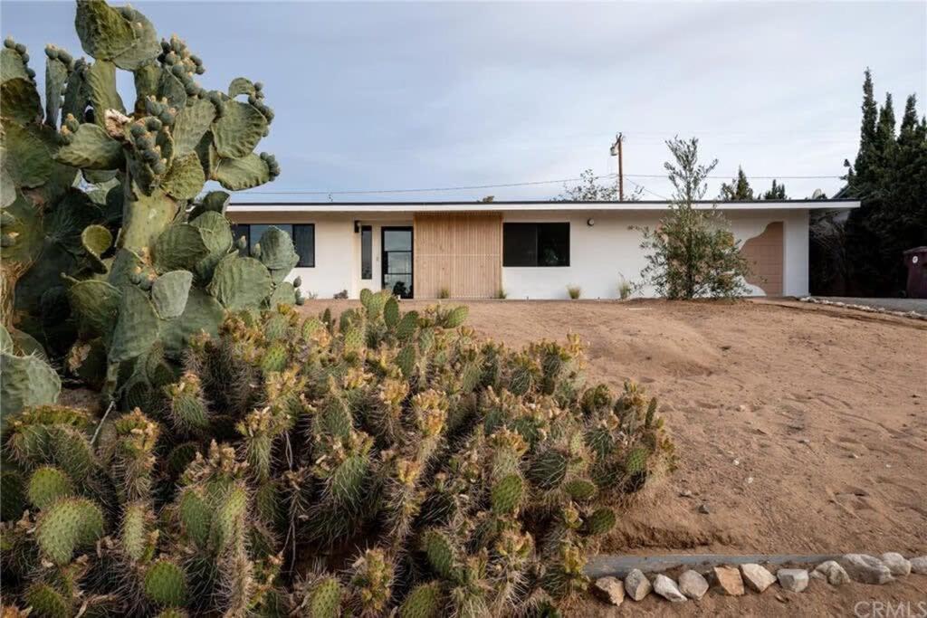 Joshua Tree - Le Tout Petit W Hot Tub Dış mekan fotoğraf